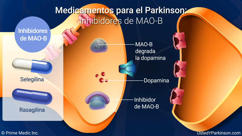 Medicamentos para el Parkinson:   Inhibidores de MAO-B